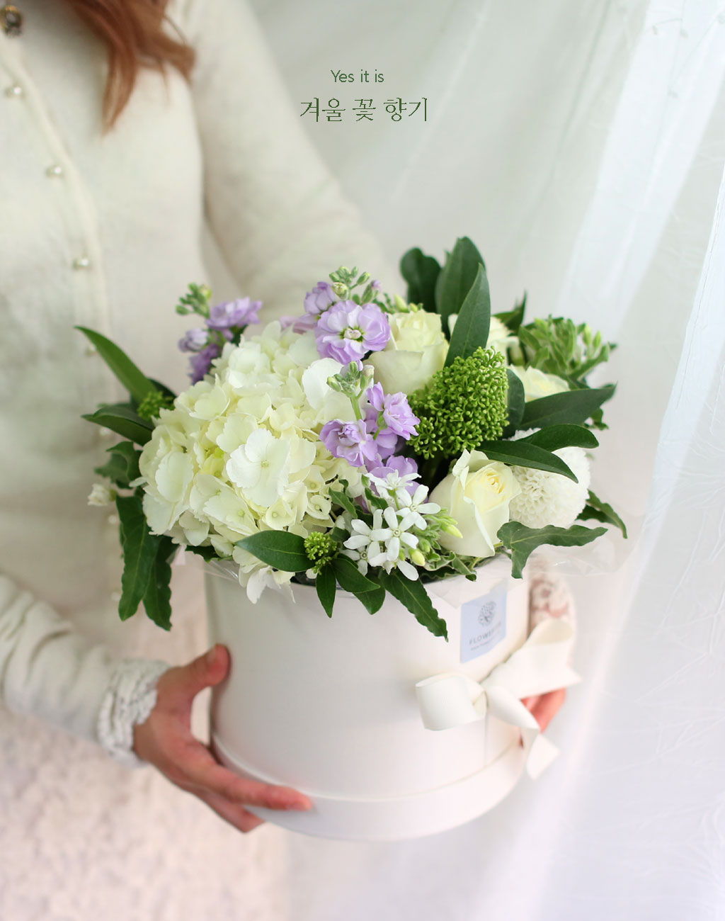 스토크는 향기가 납니다. 후리지아나 백합처럼 진하지 않은 은은한 향기가 납니다.