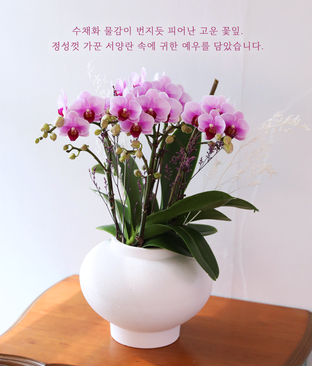 수채화 물든 핑크 달빛 - 나비의 뜰