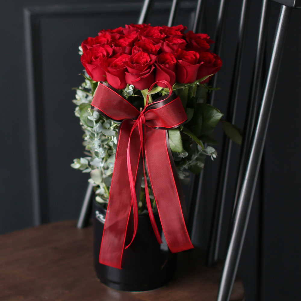 로즈데이 - vivid rose day