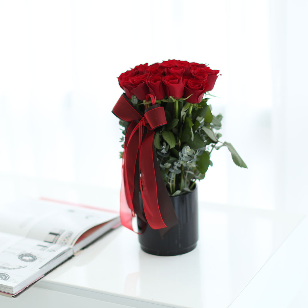 로즈데이 - vivid rose day