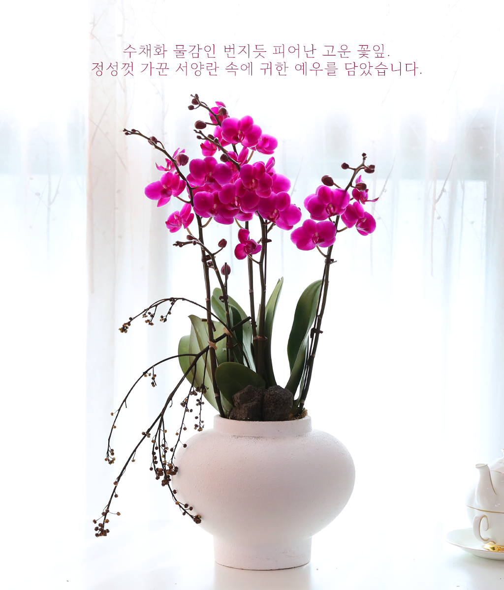 깊은 자주빛 달항아리 - 나비의 뜰