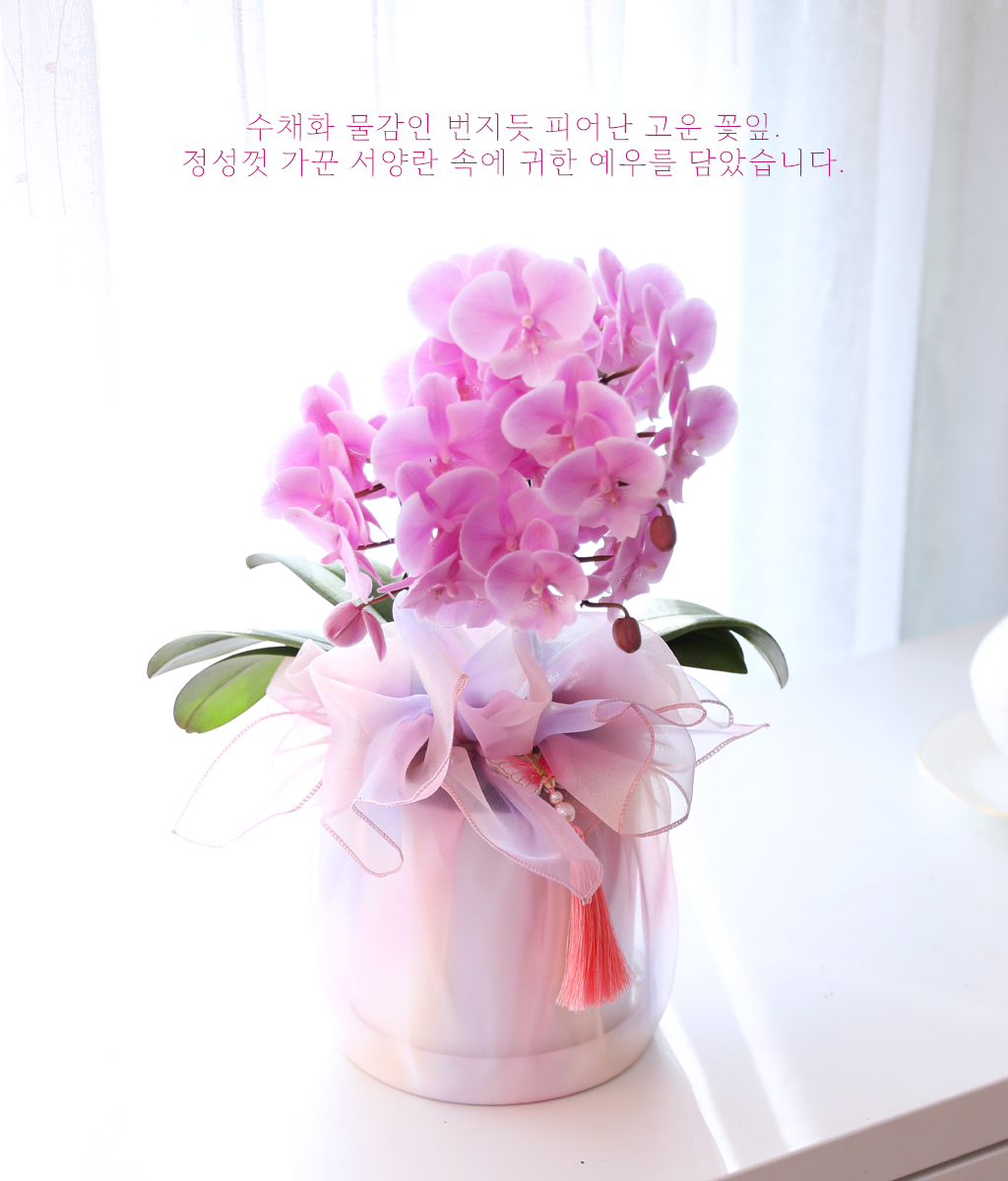 나비가 날아드는 정원 - 나비의 뜰