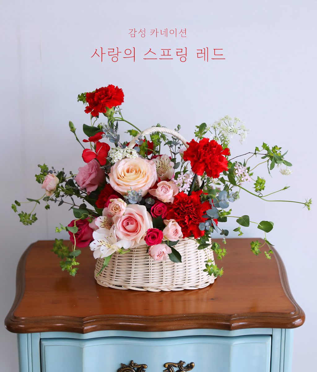 사랑의 스프링 레드 - 감성 카네이션