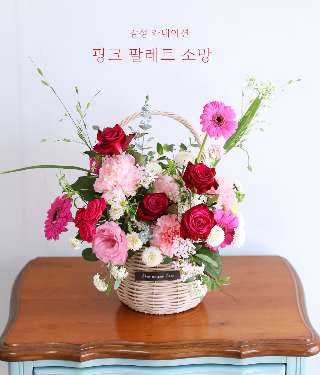 핑크 팔레트 소망 - 감성 카네이션