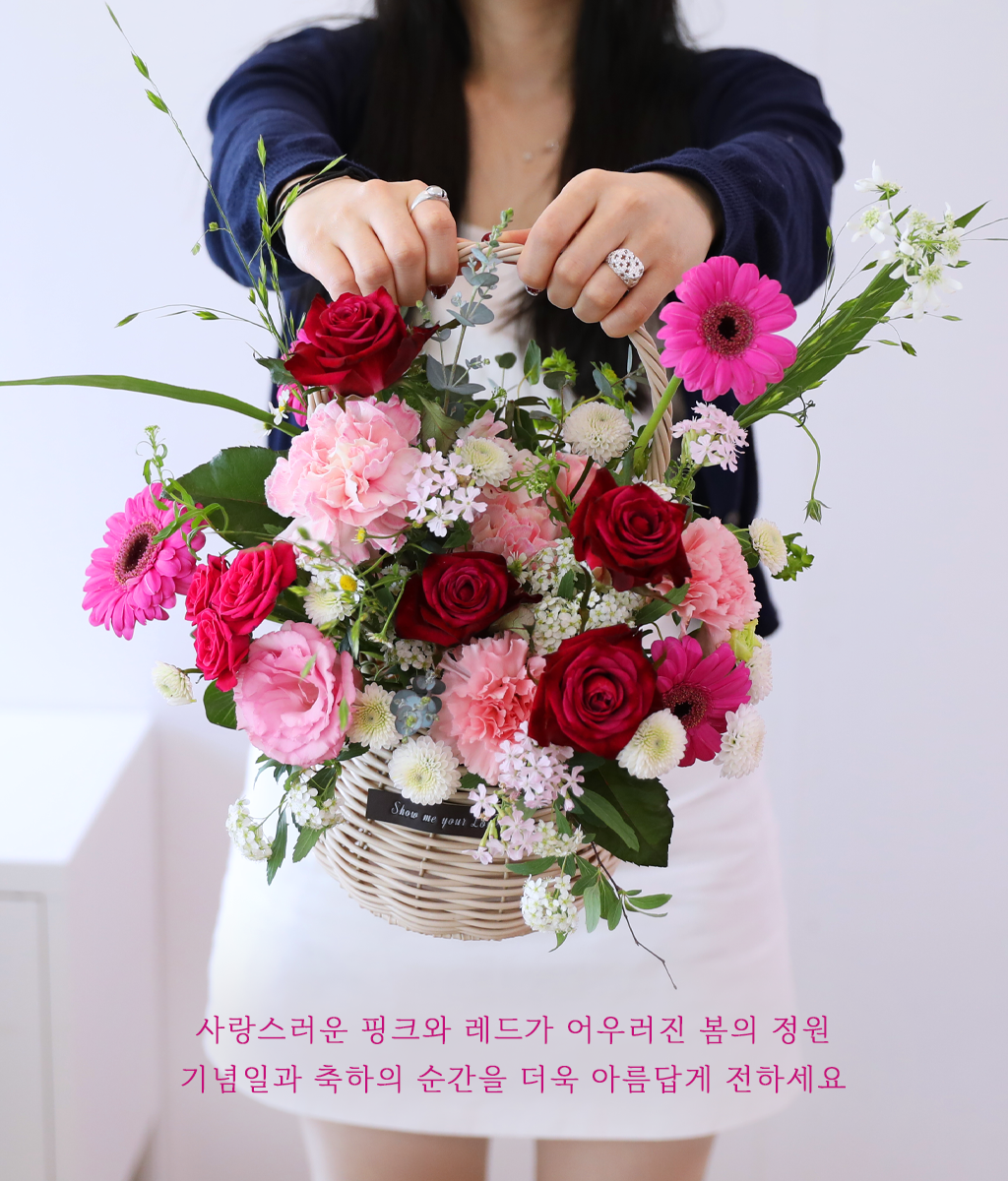 핑크 팔레트 소망 - 감성 카네이션