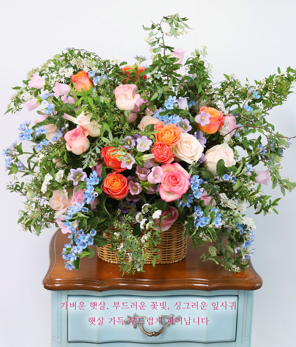 봄날 오후의 홀리데이