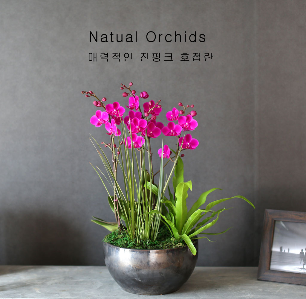 감사의 마음을 담아 - 꽃잎이 예쁜 만천홍