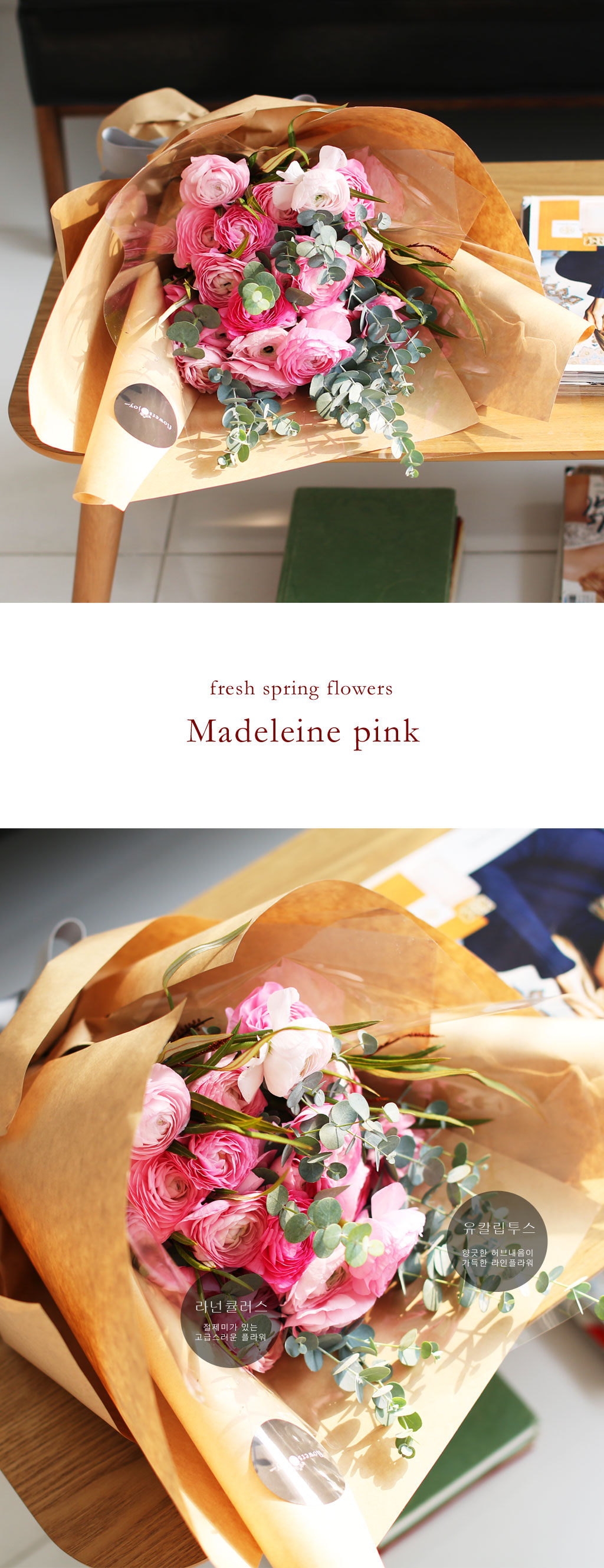 Fresh spring flower madeleine pink