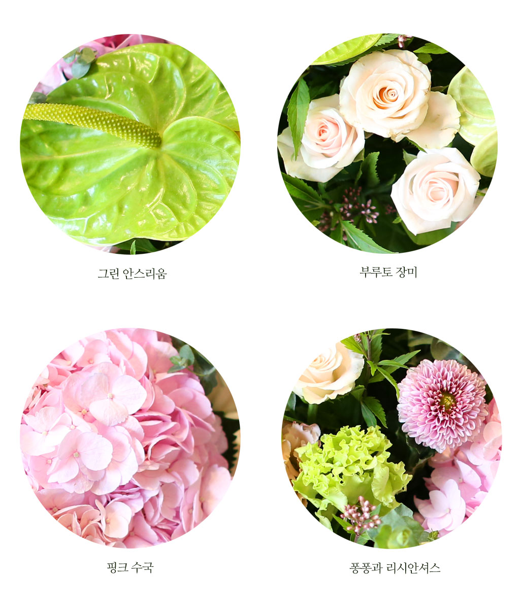 September love - 풍성한 사랑을