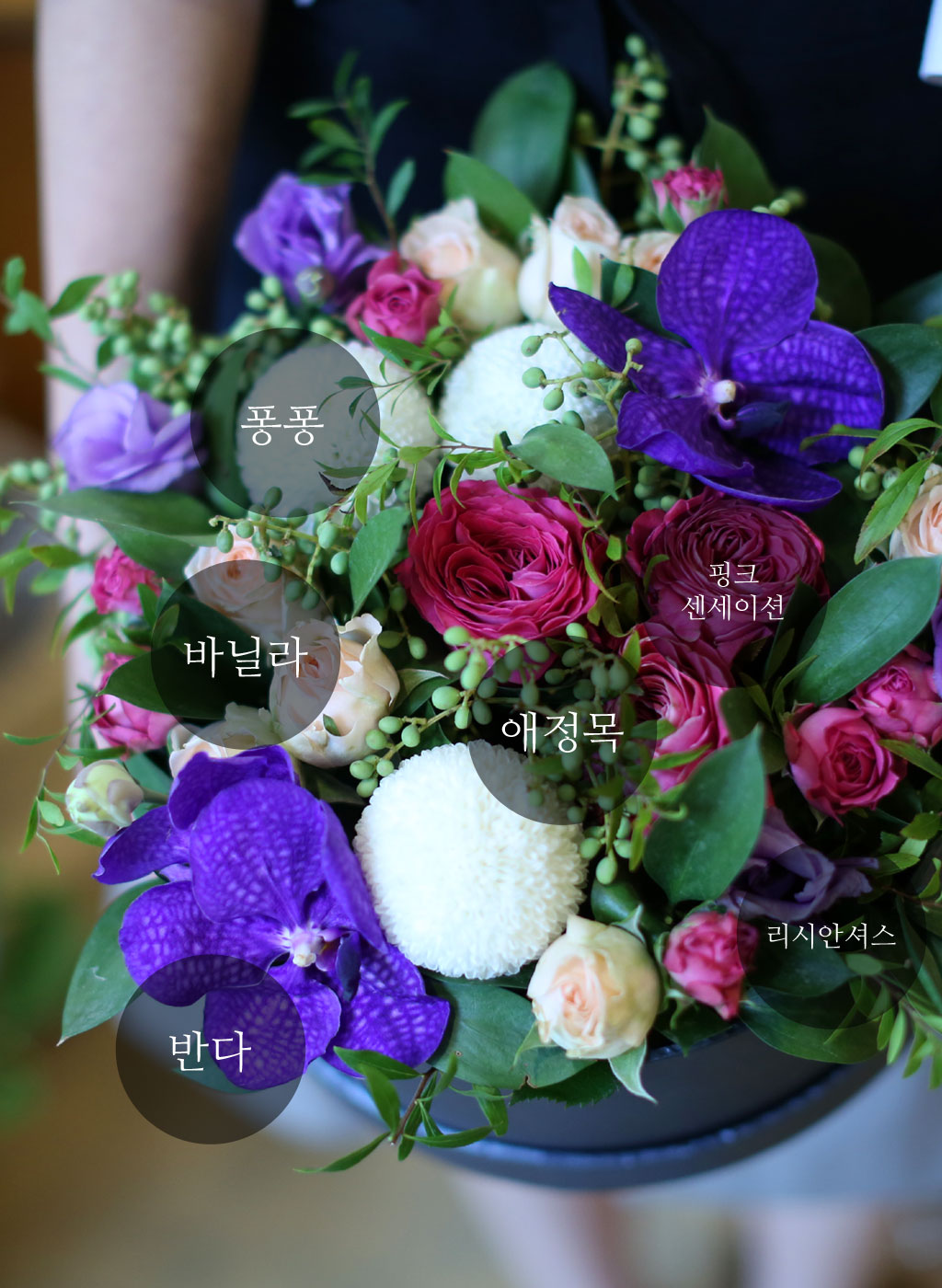 퐁퐁, 애정목, 바닐라, 반다, 리시안셔스, 핑크 센세이션
