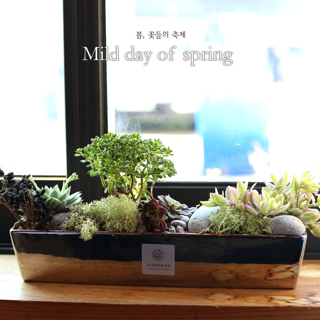 봄,꽃들의 축제 - Mild day of spring