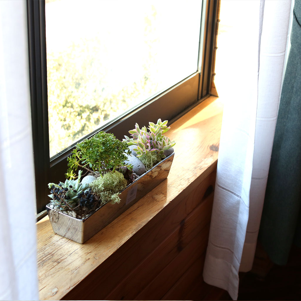 봄,꽃들의 축제 - Mild day of spring