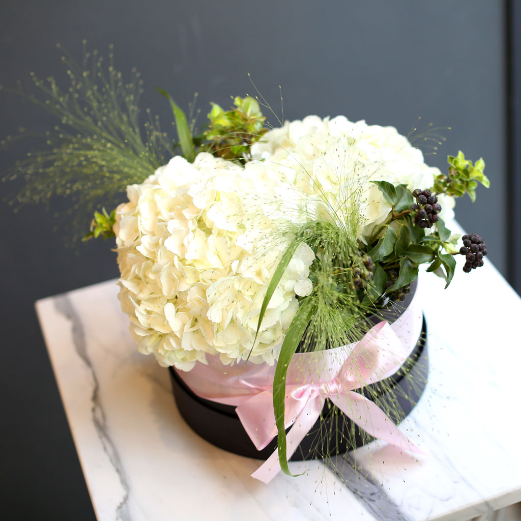 White day Springtime for you