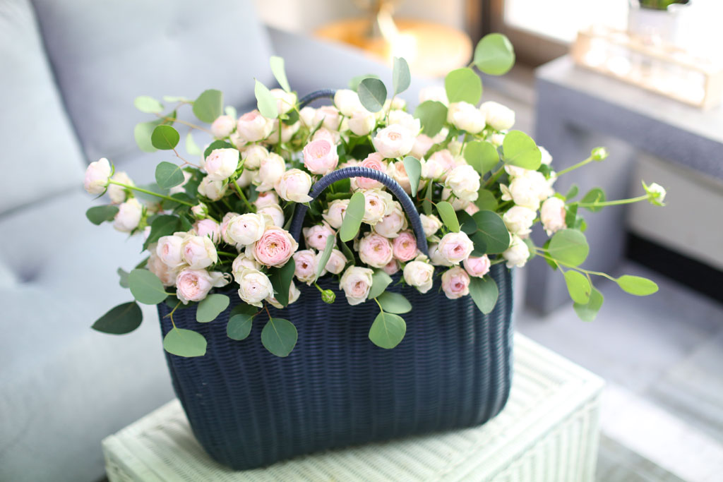 100 roses 맨즈필드