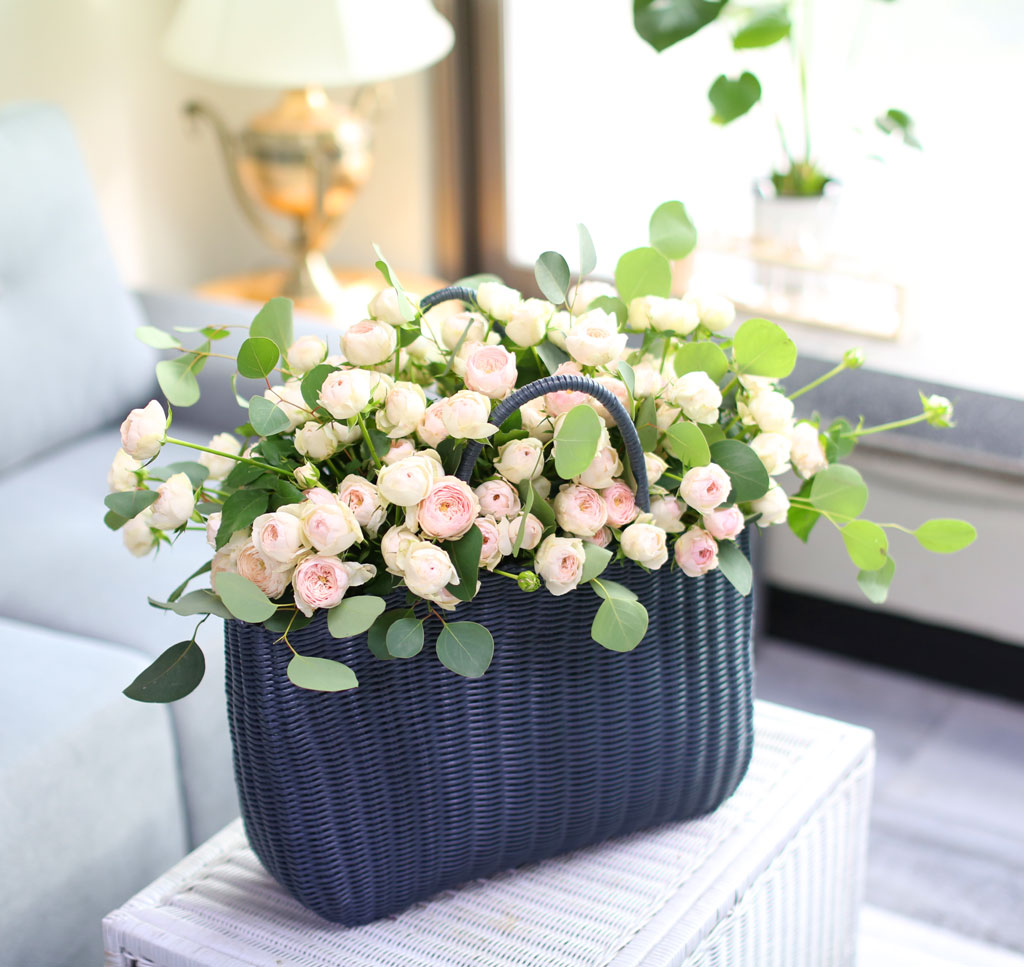 100 roses 맨즈필드