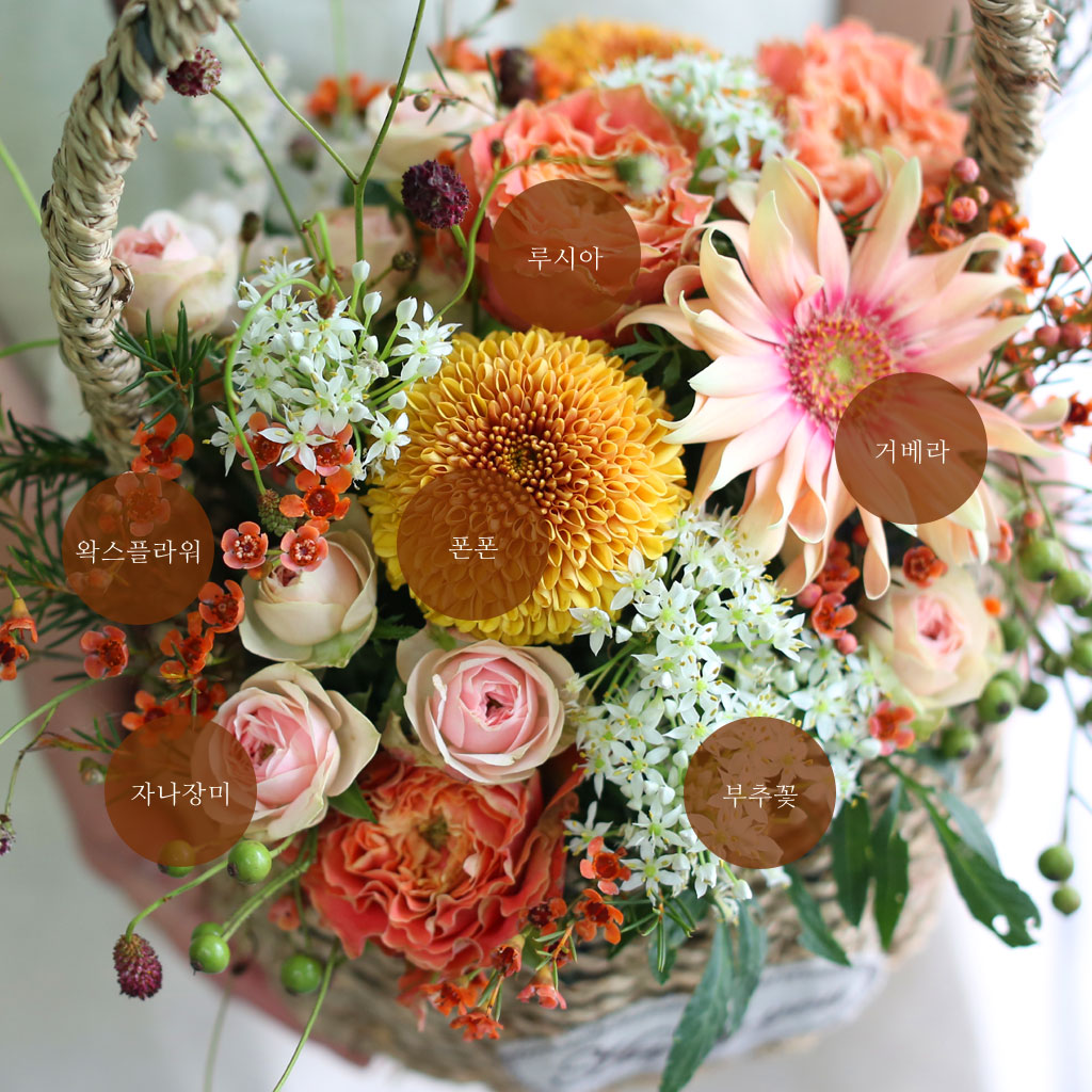 Fall in love 가을동화