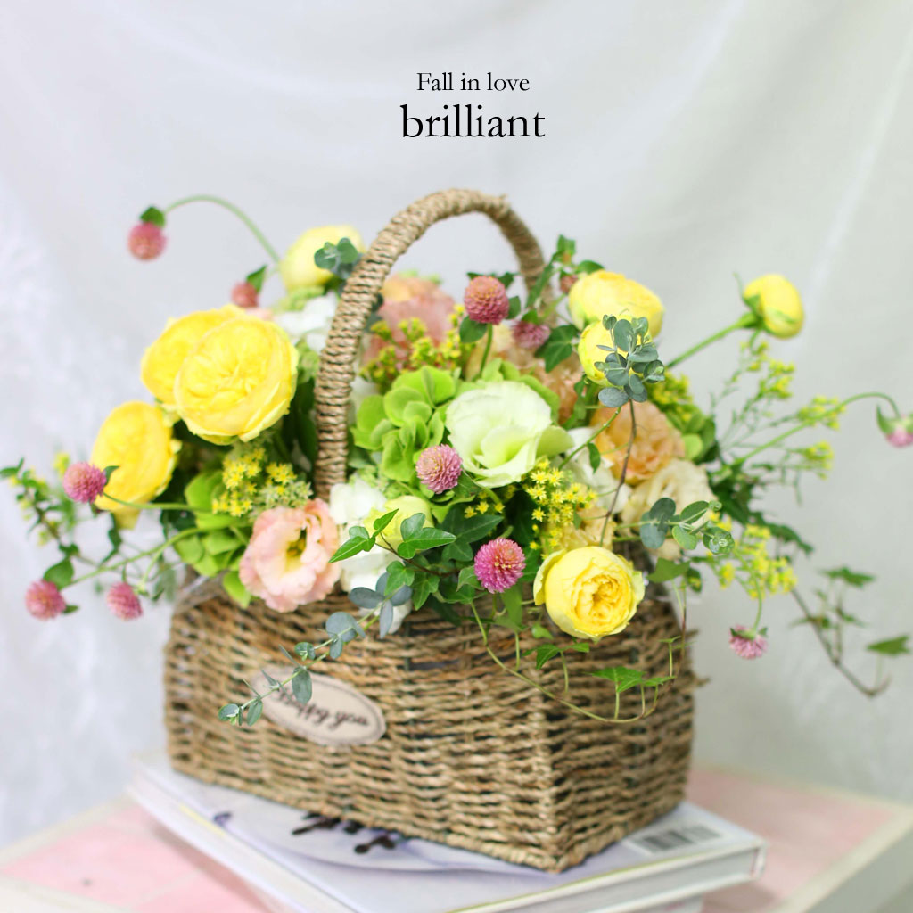 Fall in love - brilliant