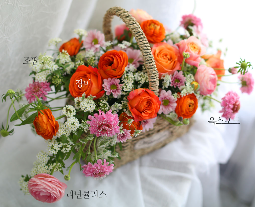 화형이 큰 꽃들이 한 데 모여 풍성하고 입체감 있는 꽃바구니입니다.
쨍한 주황, 핑크 컬러와 대비되는 화이트,그린 소재로
한층 더 고급진 네추럴함이 돋보입니다.
