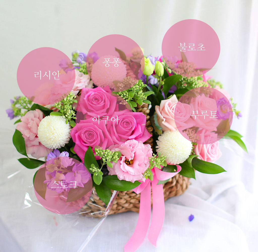 Roseday - 오늘은 꼭 고백할거야