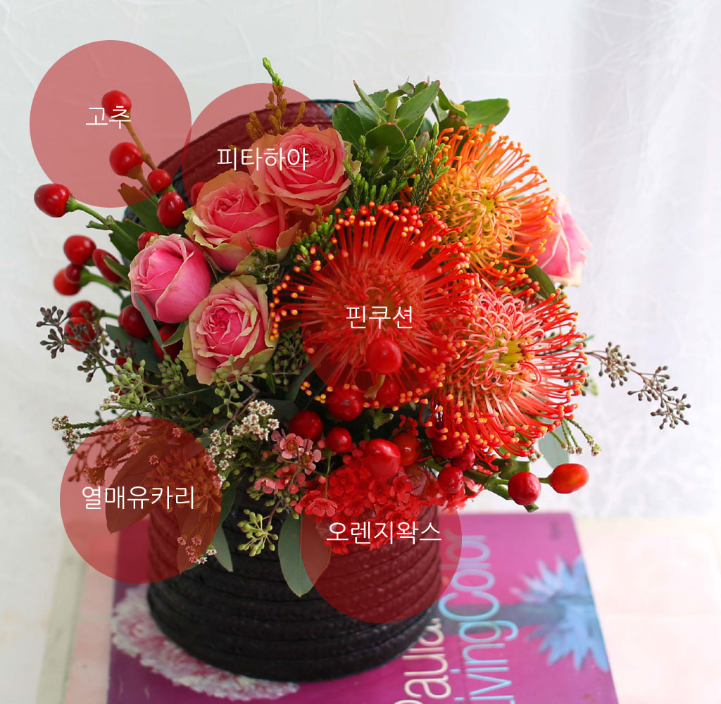 고추, 피타하야, 핀쿠션, 열매유카리, 오렌지왁스,
흔하지 않은 소재들로 더욱 더 센스있는 플라워박스 입니다.