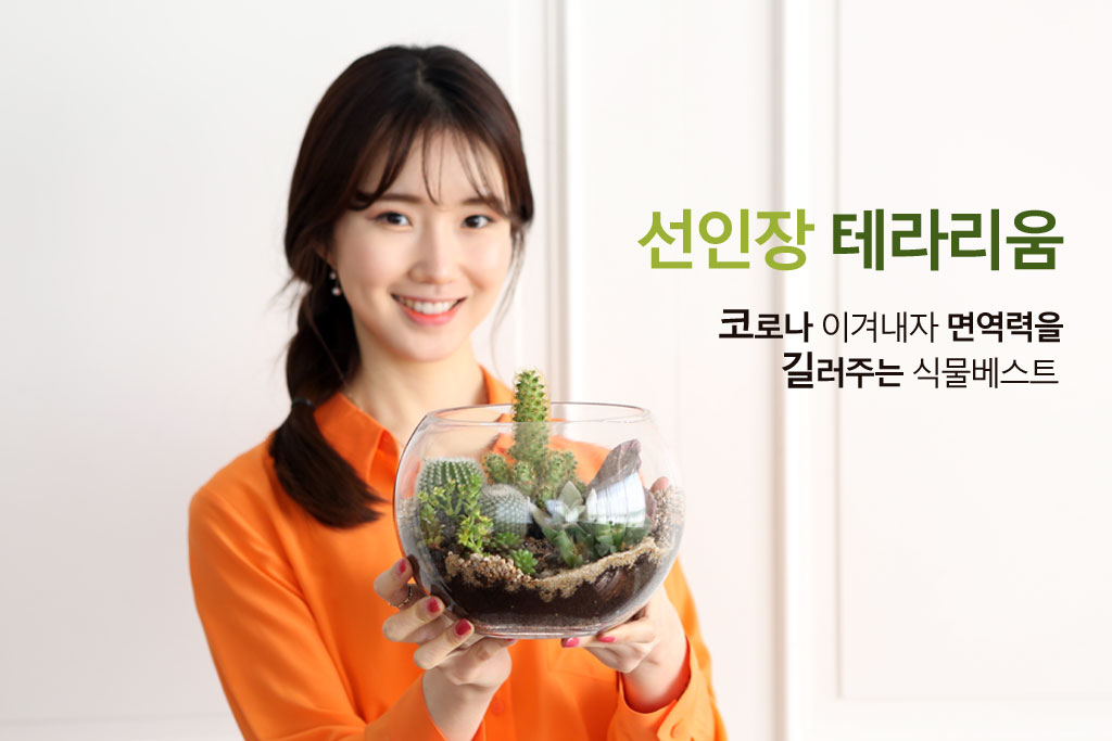 유리병안에 작은 정원을 꾸몄어요 - 다육테라리움 원형더블
