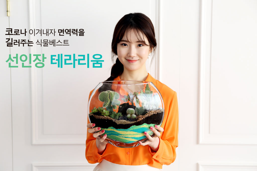 유리병안에 작은 정원을 꾸몄어요 - 타원형