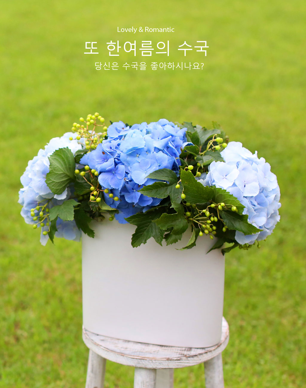 lovely & Romantic - 또 한여름의 수국