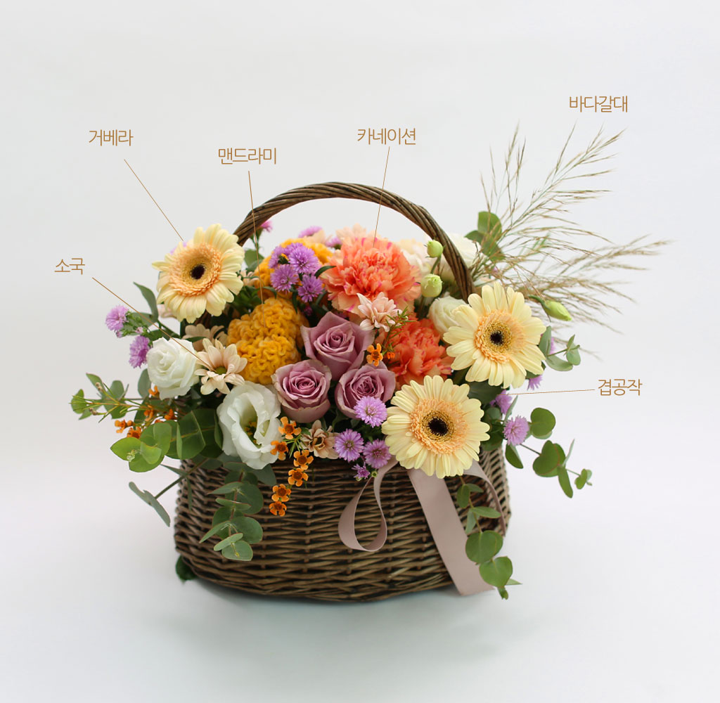 갈대를 위에 꽂아서 가을 느낌을 주었습니다.
오렌지빛 왁스플라워와 맨드라미가 풍요로운 분위기를 자아내고 있습니다.
(매일매일 시장에 나와 있는 꽃을 사서 새로 제작하기 때문에, 꽃구성은 변경될 수 있는 점 양해해주세요)