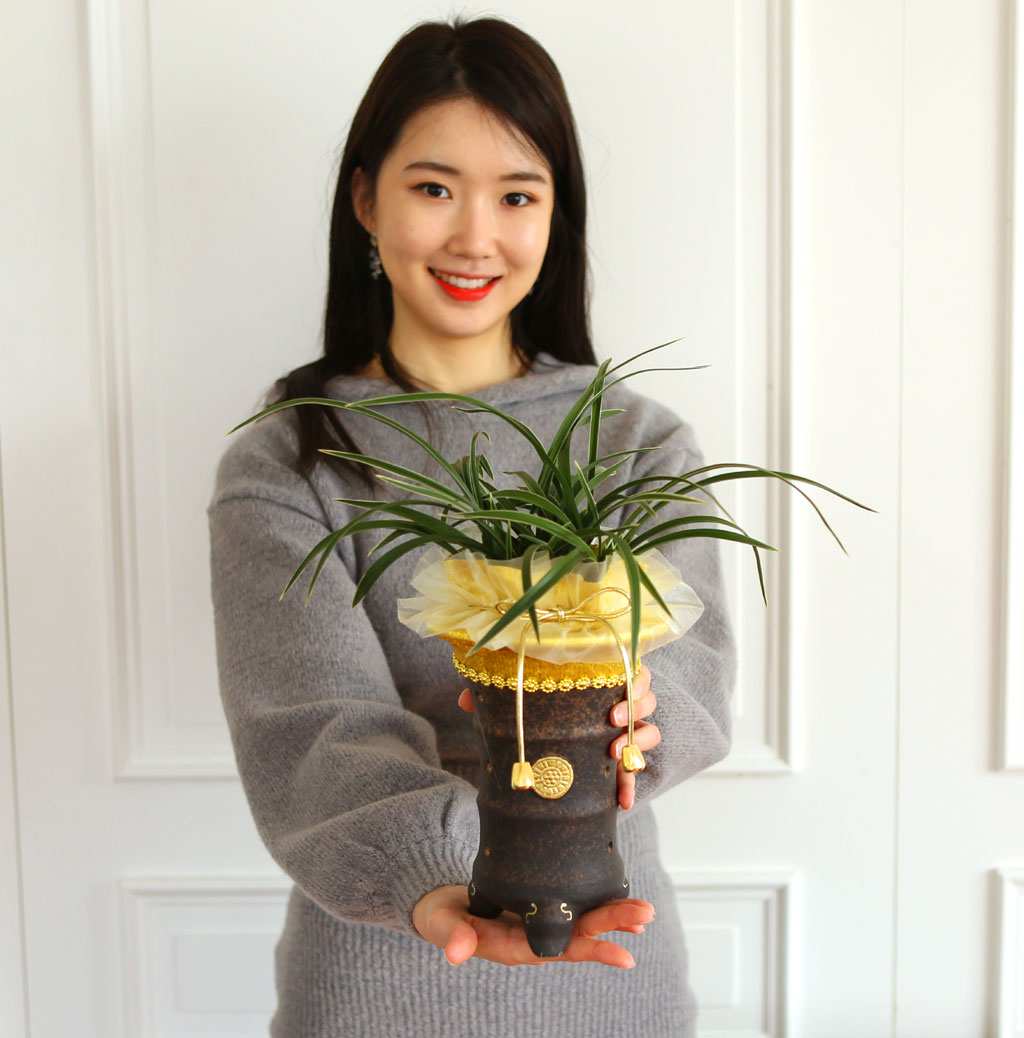 명품 동양란 천초