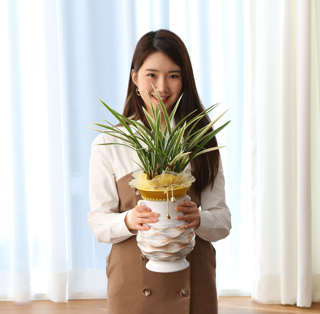 명품동양란 - 황룡관
