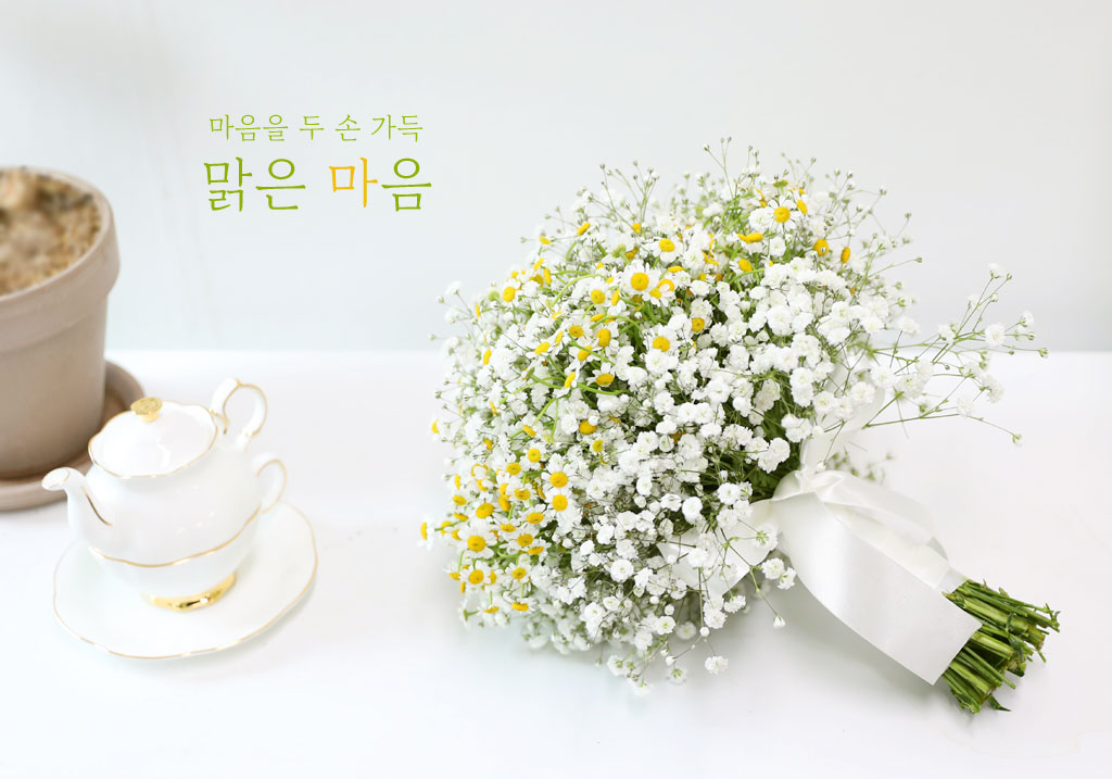 {예약배송}두 손 가득, 맑은 마음