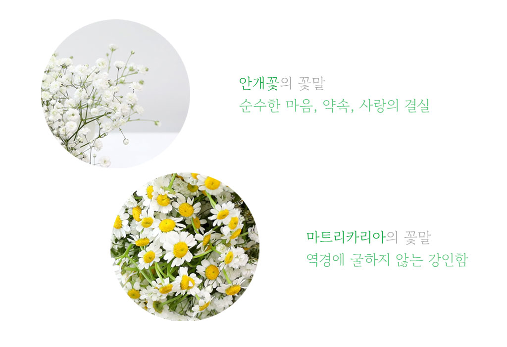 {예약배송}두 손 가득, 맑은 마음