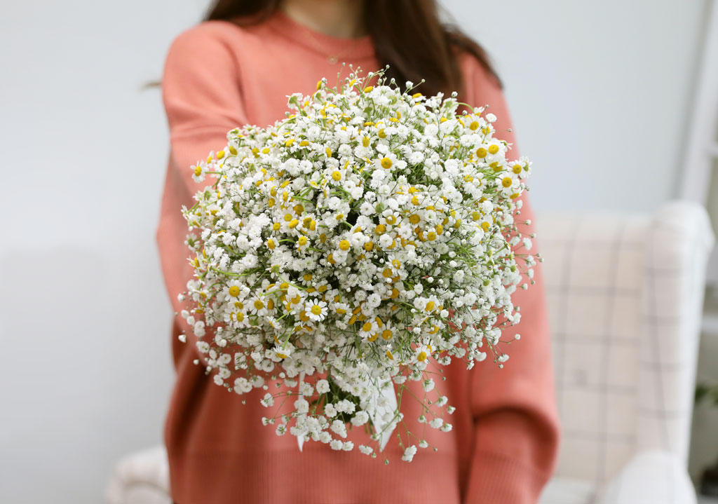 {예약배송}두 손 가득, 맑은 마음