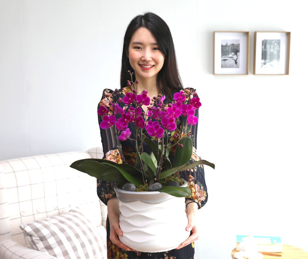 선명한 자홍색의 아담한 꽃이 줄기 끝까지 피어나는 만천홍입니다.