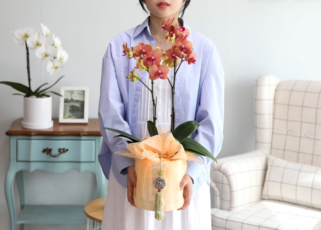 삼색조의 색이 건강한 느낌을 주어서인지 선물용으로 인기만점입니다.