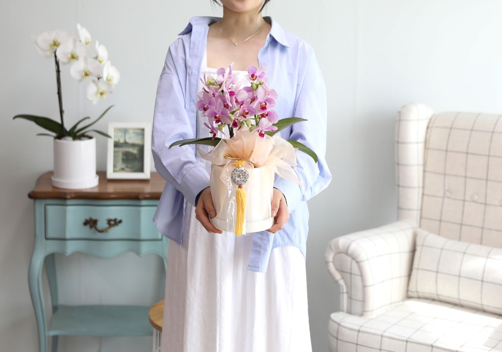 스승의날 선물 정성가득호접란 선물 - 핑크호접 청풍(서울전지역,수도권일부만가능)