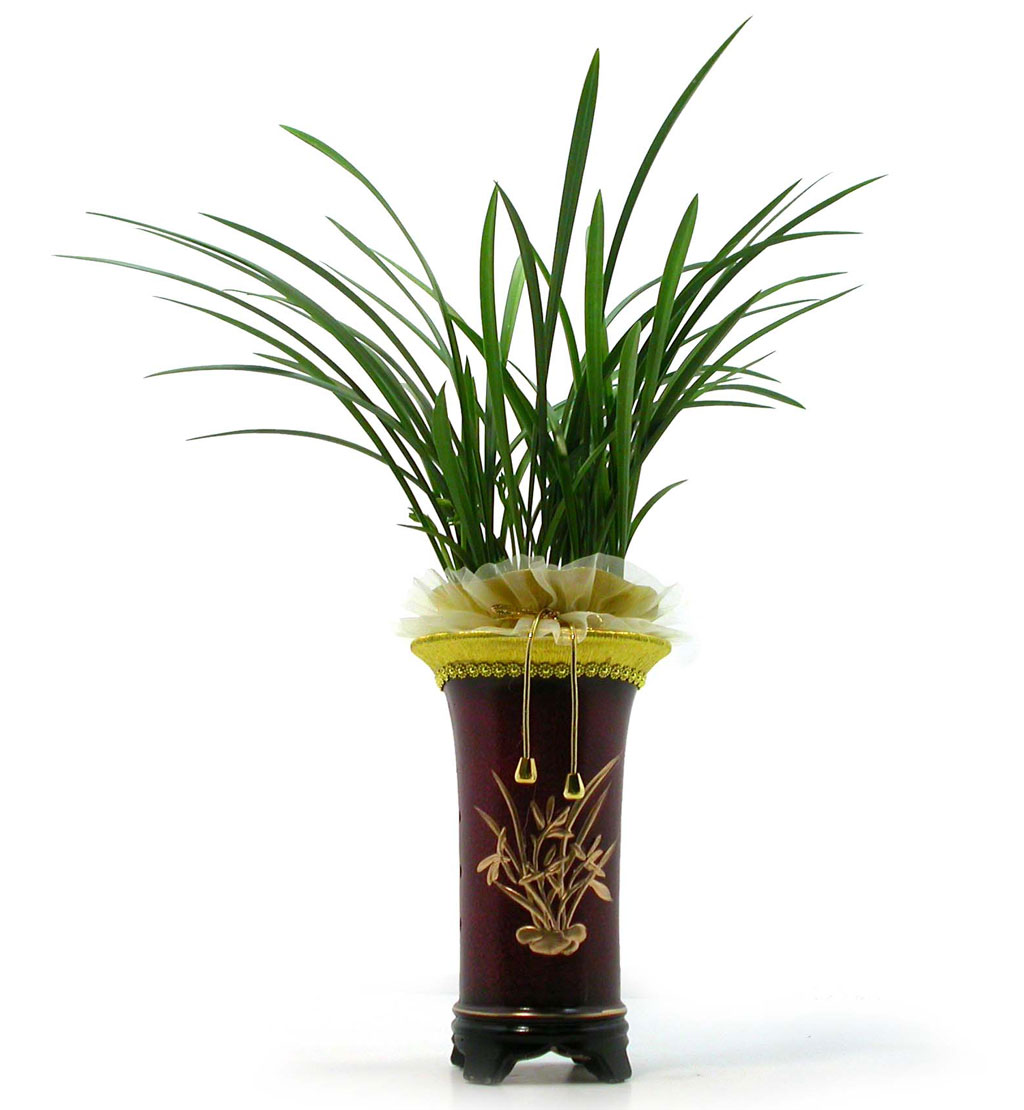 <div style="font-size:1.8em; font-weight:700; font-family: 'Noto Serif KR', serif; color:#000000; margin-top: 20px;">사군자 중의 하나인 동양란</div>
옛선비들은 매난국죽 이라는 사군자 라고 하는 식물을 가까이 하며
선비의 정신과 기개를 닦았습니다.
승진이나, 영전 때처럼 높은 자리에 오르신 분들께
사군자 중의 하나인 동양란을 선물하는 것은
높은 자리에 오르신 것을 축하하는 의미도 있지만
높은 자리에 오르 신 만큼의 기개와 아량을 갖추시길
기원하는 마음에서 일 것입니다.
승진, 영전하신 분들께 동양란을 선물하셔서
더욱 좋은 의미의 축하선물이 되시길 기원합니다