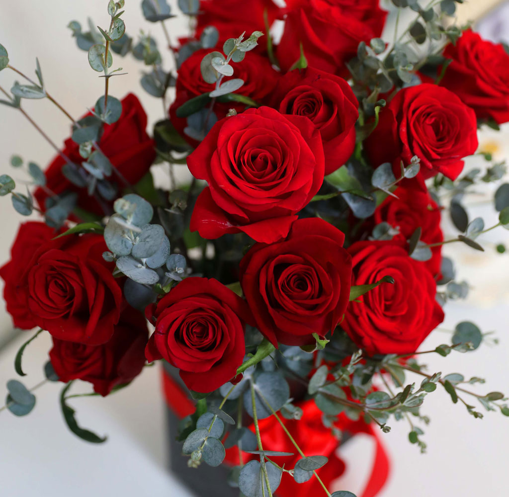 Happiness Rose