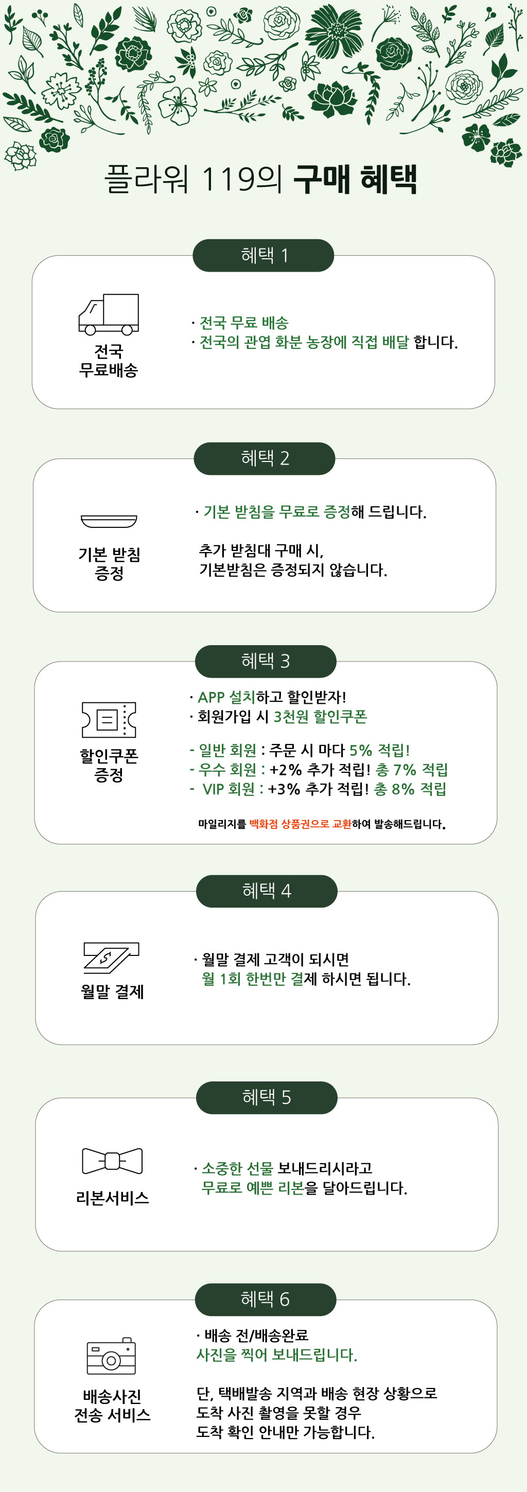 행복과 긍정적인 기운의 식물 - 해피트리(중)