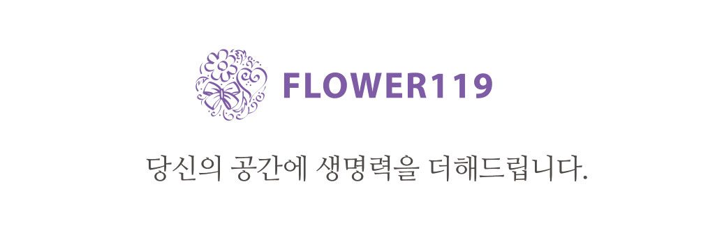 행복과 긍정적인 기운의 식물 - 해피트리(특대)