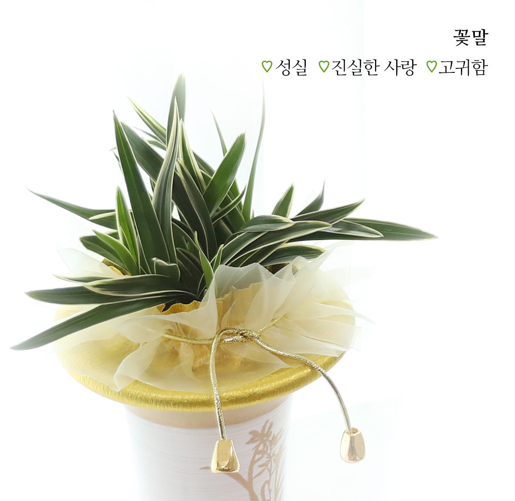 성공과 번영을 기원하는, 고급 동양란 대국