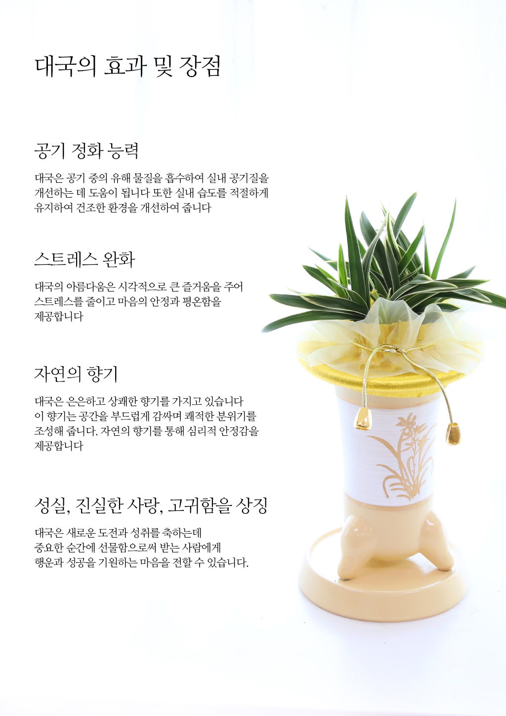 성공과 번영을 기원하는, 고급 동양란 대국